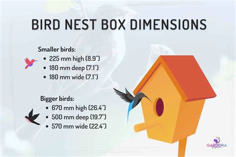 metal nest box for macaws|nest box hole size chart.